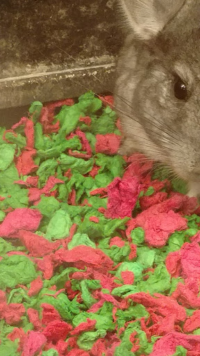 Pet Supply Store «PetSmart», reviews and photos, 11132 Abercorn St, Savannah, GA 31419, USA