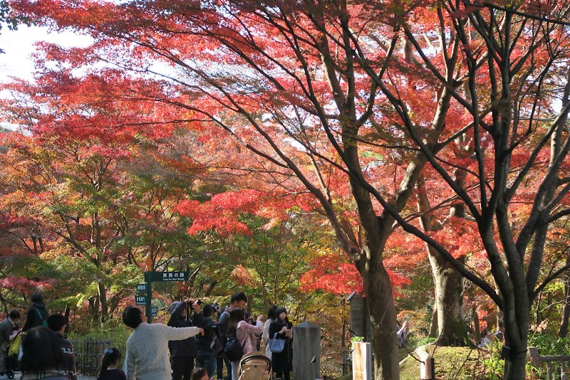 東山動植物園 東駐車場