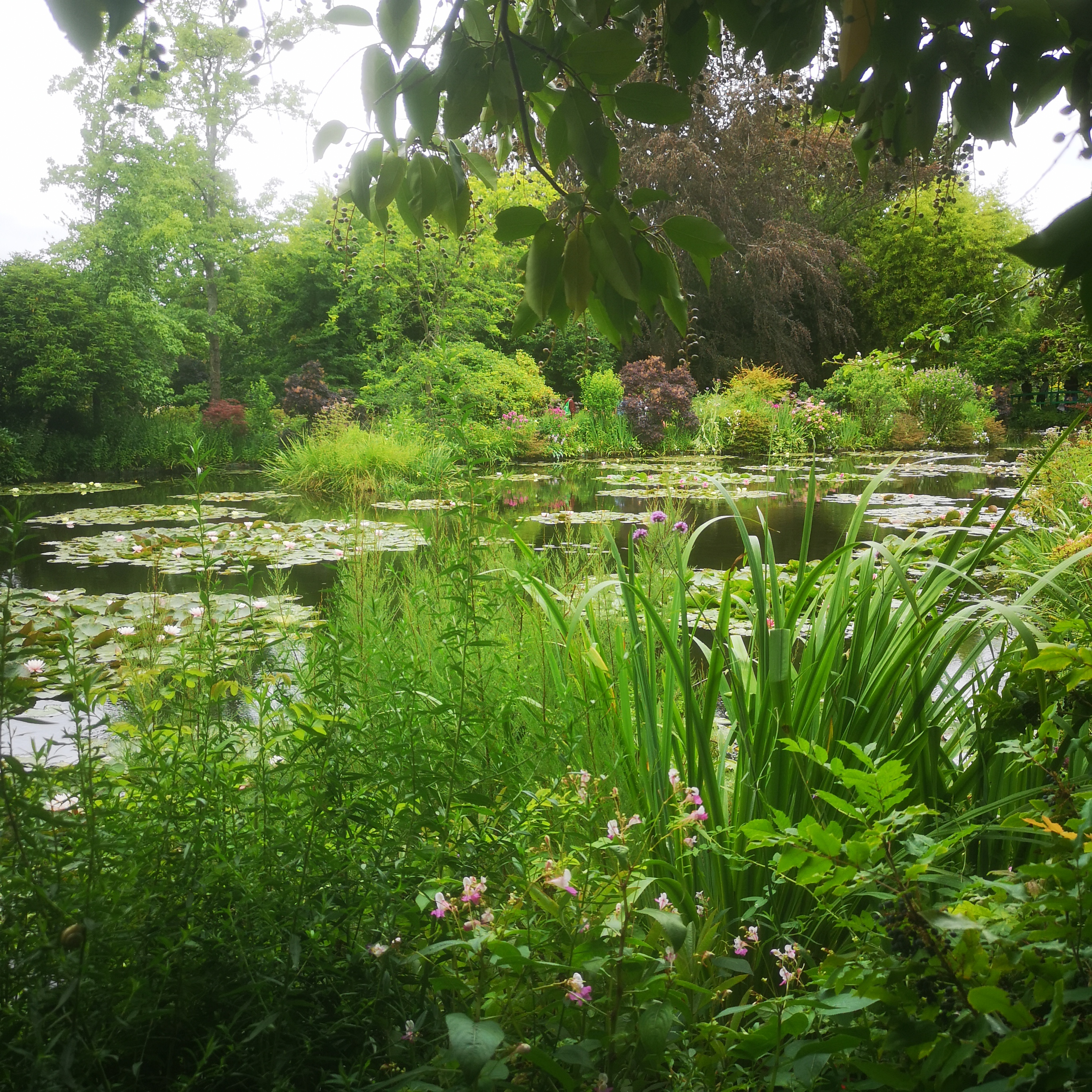 Photo n° 3 de l'avis de Oli.r fait le 28/07/2023 à 09:04