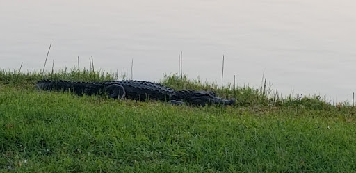 Recreation Center «Wa-Ke Hatchee Park Recreation Center», reviews and photos, 16760 Bass Rd, Fort Myers, FL 33908, USA