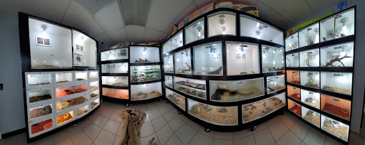 Reptile Store «Pet Palace», reviews and photos, 1442 N Hollenbeck Ave, Covina, CA 91722, USA