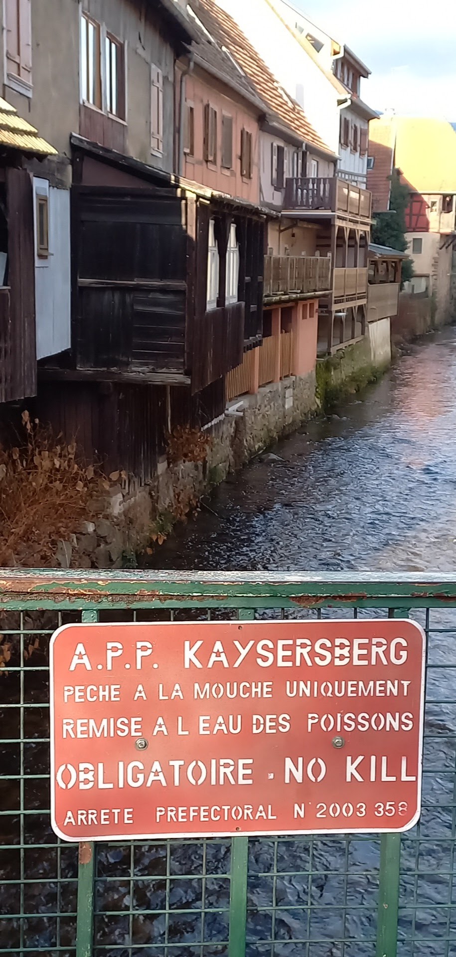 Photo n° 2 de l'avis de Djamylive.h fait le 07/12/2023 à 07:25