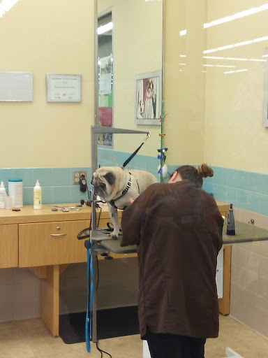 Pet Supply Store «Petco Animal Supplies», reviews and photos, 226 Thornton Drive, Dickson, TN 37055, USA