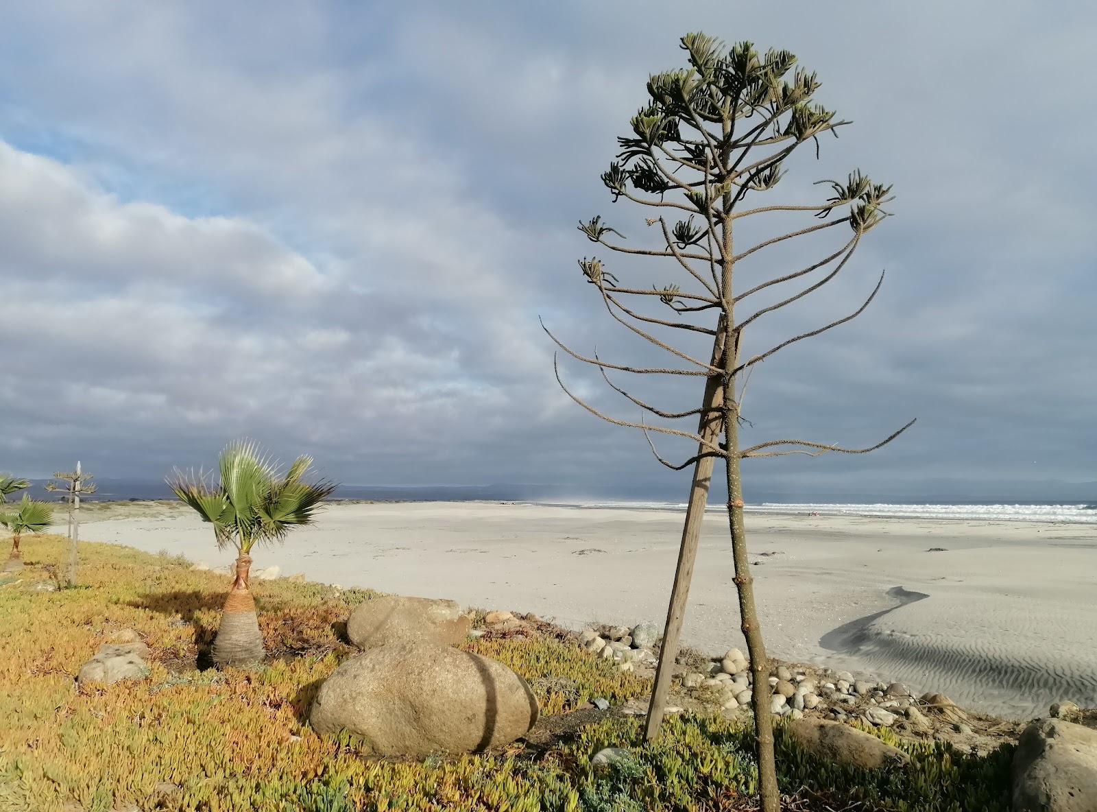 Foto di Playa El Pabellon con molto pulito livello di pulizia