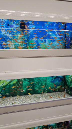 Pet Supply Store «Petco Animal Supplies», reviews and photos, 12801 Chenal Pkwy, Little Rock, AR 72211, USA