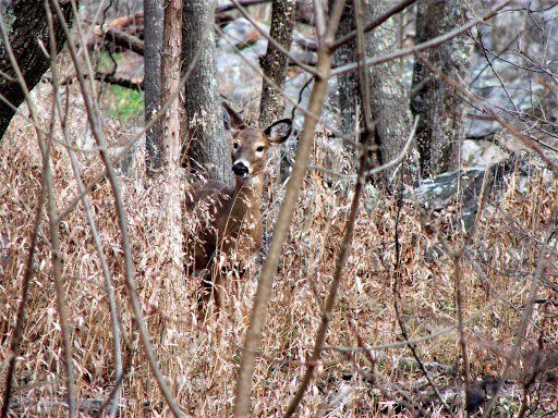 Self-Storage Facility «U-Store Self Storage», reviews and photos, 3860 Kenilworth Ave, Bladensburg, MD 20710, USA