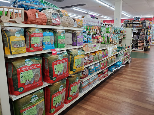 Pet Supply Store «Pet Supermarket», reviews and photos, 10291 Pines Blvd, Pembroke Pines, FL 33026, USA
