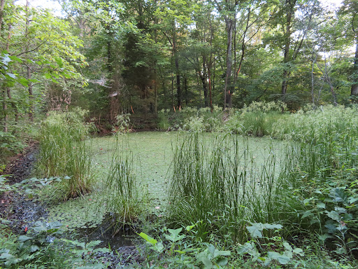 Nature Preserve «Laura Hare Nature Preserve at Downey Hill», reviews and photos, Valley Branch Rd, Nashville, IN 47448, USA