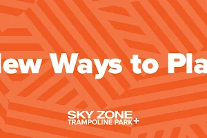 Sky Zone Trampoline Park image