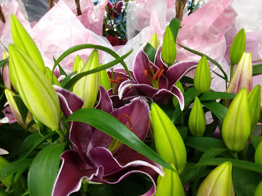 Grocery Store «Meijer», reviews and photos, 1900 E College Ave, Normal, IL 61761, USA