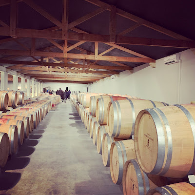 Bacchus Tours - Private Wine Tours à Bordeaux