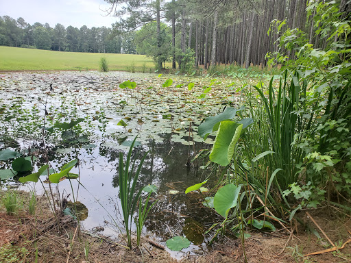 Non-Profit Organization «Dauset Trails Nature Center», reviews and photos, 360 Mt Vernon Church Rd, Jackson, GA 30233, USA