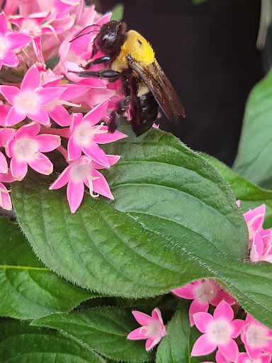 Home Improvement Store «The Home Depot», reviews and photos, 10233 Lakeridge Pkwy, Ashland, VA 23005, USA