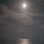 Photo n°3 de l'avis de Alfonso.a fait le 05/05/2018 à 23:16 sur le  AlBucoGiusto à Piombino