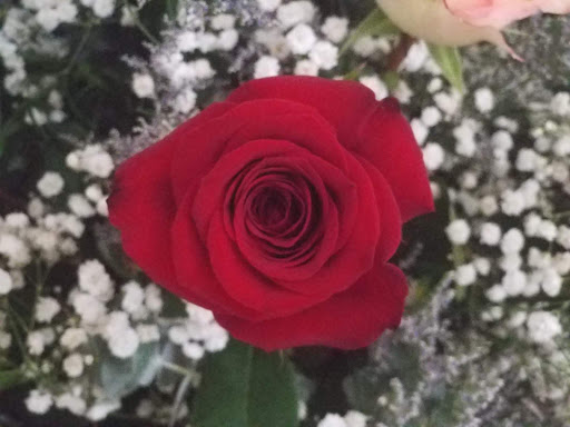 Florist «Angels Floral & Gifts, Inc.», reviews and photos, 5386 Steubenville Pike, McKees Rocks, PA 15136, USA