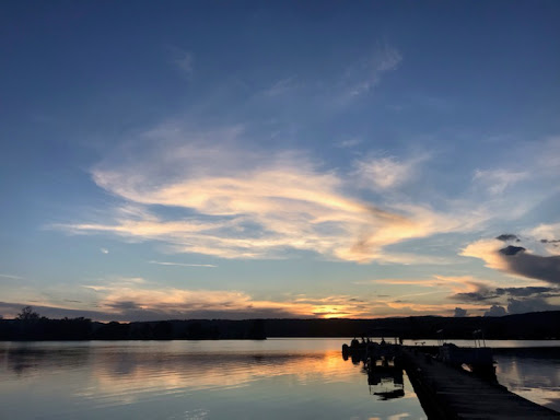 Discount Store «Dollar General», reviews and photos, 1258 Main St, Fyffe, AL 35971, USA