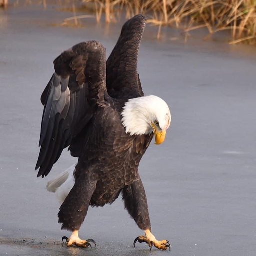 Hair Salon «V.I.P. Salon & Spa», reviews and photos, 15580 King Rd, Riverview, MI 48193, USA