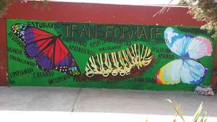 Mural De Las Mariposas