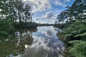Lake Panorama image