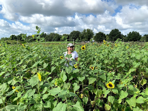 Amusement Center «Stanley Pond Adventure Farm», reviews and photos, 15426 County Rd 48, Astatula, FL 34705, USA