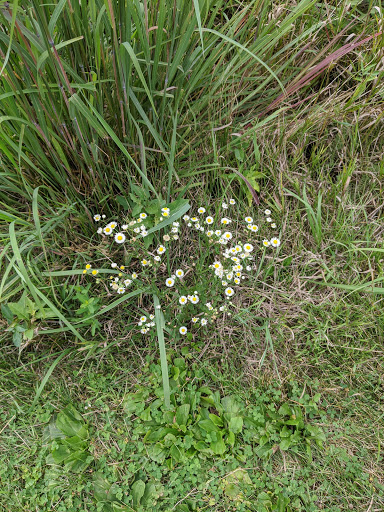 Nature Preserve «Rock Run Preserve - Paul V. Nichols Access», reviews and photos, Essington Rd, Joliet, IL 60435, USA
