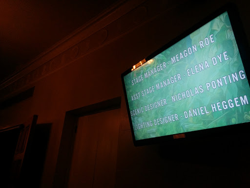 Performing Arts Theater «The Playhouse San Antonio», reviews and photos, 800 W Ashby Pl, San Antonio, TX 78212, USA