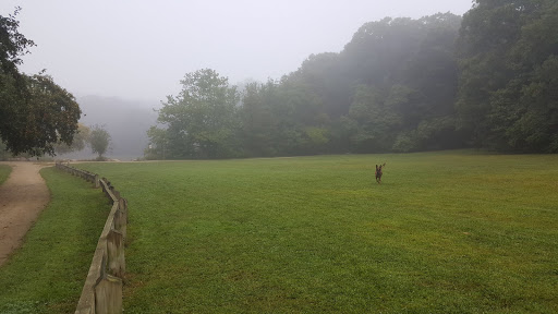 Park «Town of Arlington Menotomy Rocks Park», reviews and photos, 129 Jason St, Arlington, MA 02476, USA