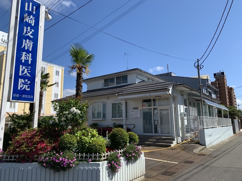 山崎皮膚科医院 新潟県新発田市大手町 クリニック 医院 診療所 医療機関 グルコミ