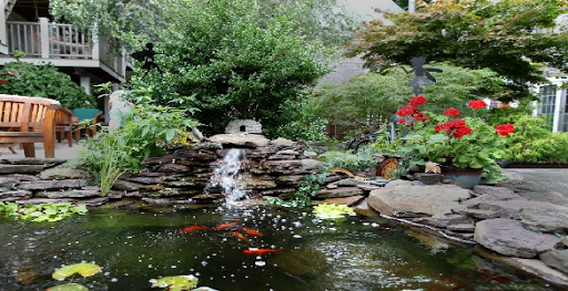Pond Fish Supplier «The Funky Koi. Pet, Pond, Water Garden, Equine and Farm Supplies», reviews and photos, 41 Porter St, Berkley, MA 02779, USA
