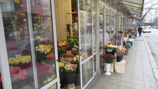 Отзиви за Пазар за цветя в Варна - Цветарница