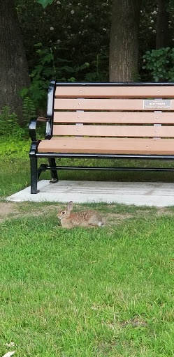 Park «Endicott Park (Town of Danvers)», reviews and photos, 57 Forest St, Danvers, MA 01923, USA