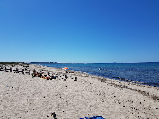 Plaža Platamona