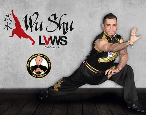 Escuela de Wushu Kung Fu Grullas