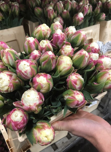 Florist «City Line Florist», reviews and photos, 2978 Nichols Ave, Trumbull, CT 06611, USA