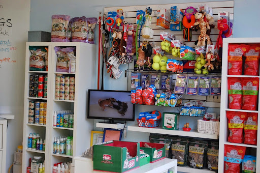 Happy Dogs at McCarren Park