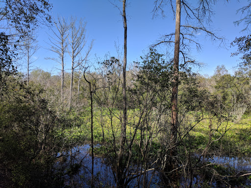 Nature Preserve «Forever Wild Trails», reviews and photos, 384 Narcisse Drive, Dothan, AL 36305, USA