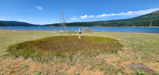 Red Feather Campground image