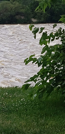 Park «Lou Berliner Park», reviews and photos, 1300 Deckenbach Rd, Columbus, OH 43223, USA