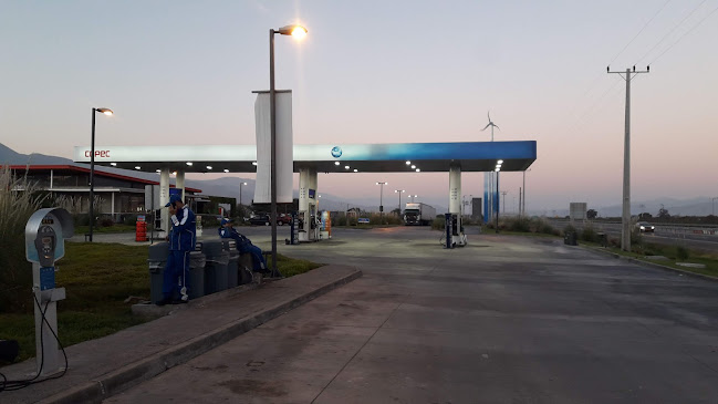 Opiniones de Pronto Copec Camino Caldera en Tierra Amarilla - Gasolinera