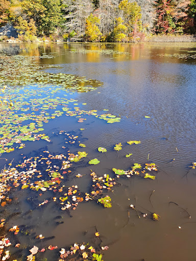 Park «Pond Meadow Park», reviews and photos, 470 Liberty St, Braintree, MA 02184, USA