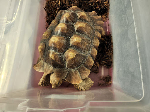 Civic Center «Florence Civic Center», reviews and photos, 3300 W Radio Dr, Florence, SC 29501, USA