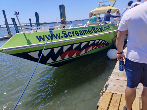  «Stormin Speedboat & Dolphin Watch», reviews and photos, 244 Bay Ave, Ocean City, NJ 08226, USA