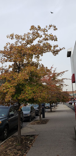 Movie Theater «UA Kaufman Astoria Cinemas 14 & RPX», reviews and photos, 35-30 38th St, Astoria, NY 11101, USA