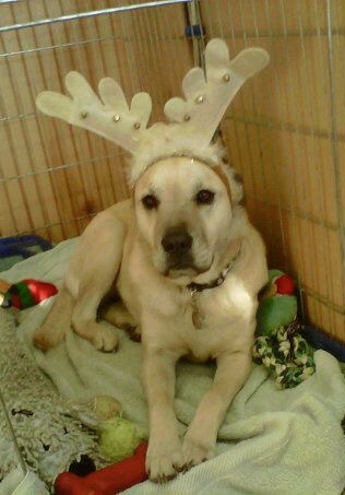 Auto Repair Shop «A-Tech Automotive Co», reviews and photos, 433 Boston Turnpike, Shrewsbury, MA 01545, USA