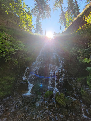 Tourist Attraction «Fairy Falls», reviews and photos, Wahkeena Trail #420, Corbett, OR 97019, USA