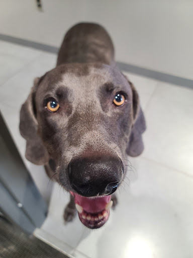 Car Dealer «Community Chrysler Dodge Jeep RAM of Bloomington», reviews and photos, 2200 S Walnut St, Bloomington, IN 47401, USA