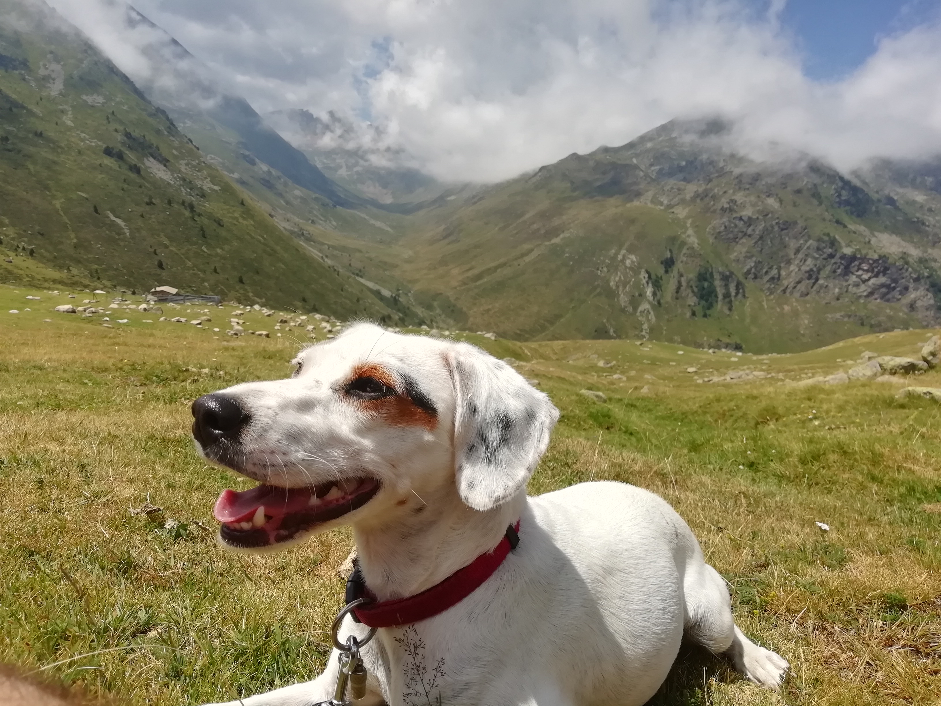 Photo n° 1 de l'avis de jerome.a fait le 02/08/2019 à 21:11