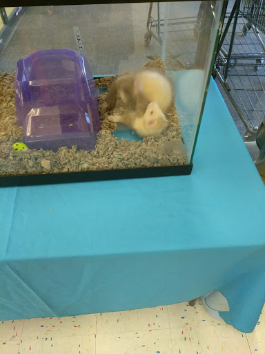 Pet Supply Store «Petco Animal Supplies», reviews and photos, 5565 S Virginia St, Reno, NV 89502, USA