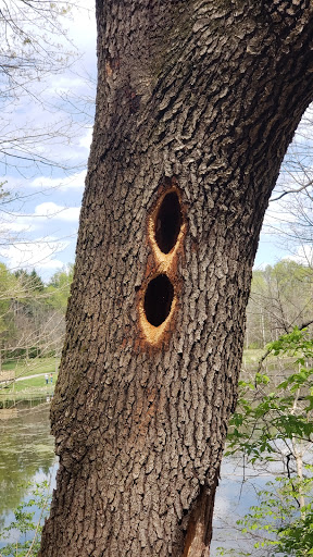 Park «Sodalis Nature Park», reviews and photos, 7700 S County Rd 975 E, Plainfield, IN 46168, USA