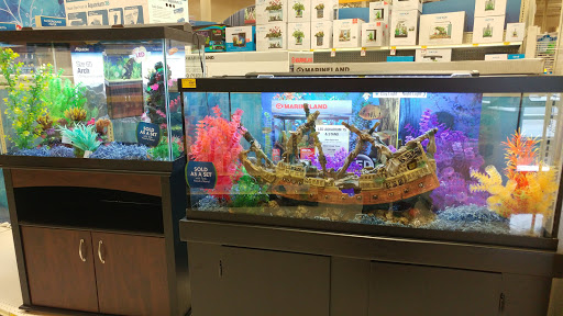 Pet Supply Store «PetSmart», reviews and photos, 2840 W Chandler Blvd, Chandler, AZ 85224, USA